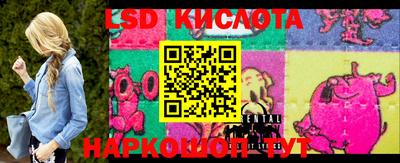 прущие крисы Абакан