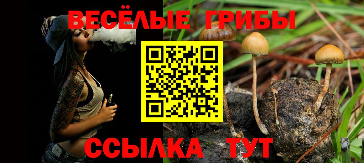 Галлюциногенные грибы GOLDEN TEACHER Кашира