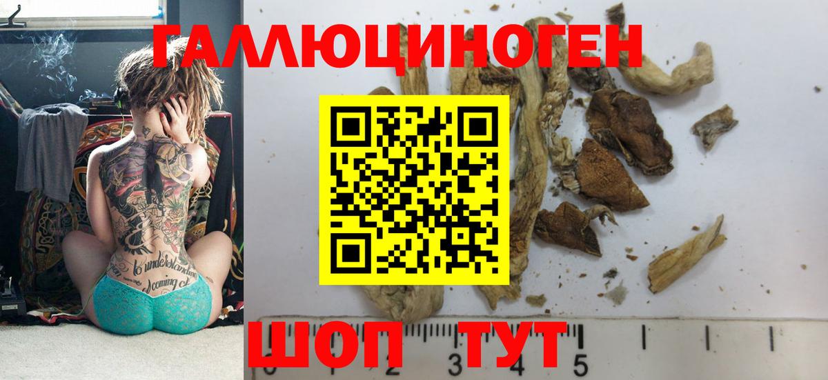 Кашира  Галлюциногенные грибы Cubensis  Вход с VPN 