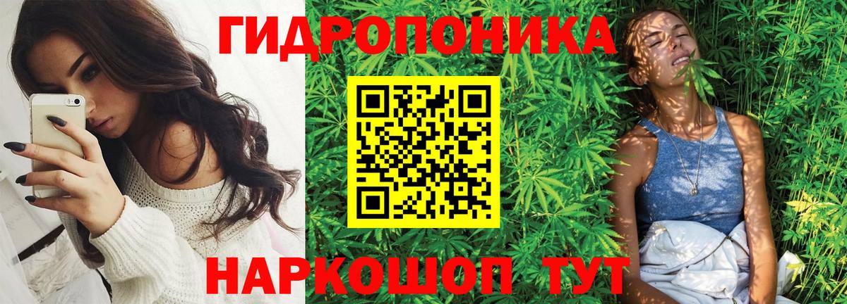 Конопля VHQ  Канабис OG Kush  МАРИХУАНА OG Kush  Вход с VPN  Кашира  Каннабис семена 